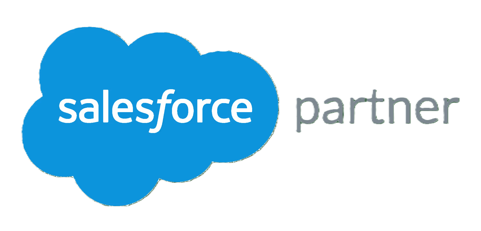 Salesforce Partner